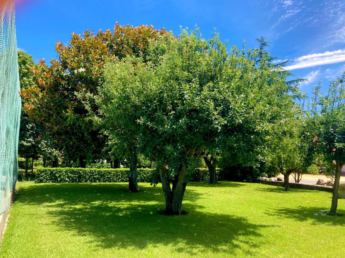 Quinta Dom Sapo - Agroturismo Βιάνα ντο Καστέλο Εξωτερικό φωτογραφία
