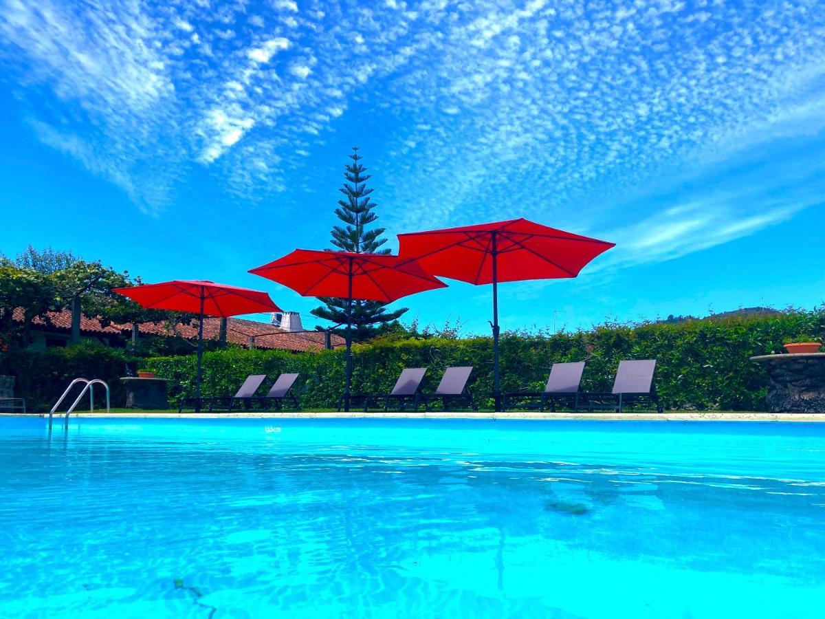 Quinta Dom Sapo - Agroturismo Βιάνα ντο Καστέλο Εξωτερικό φωτογραφία