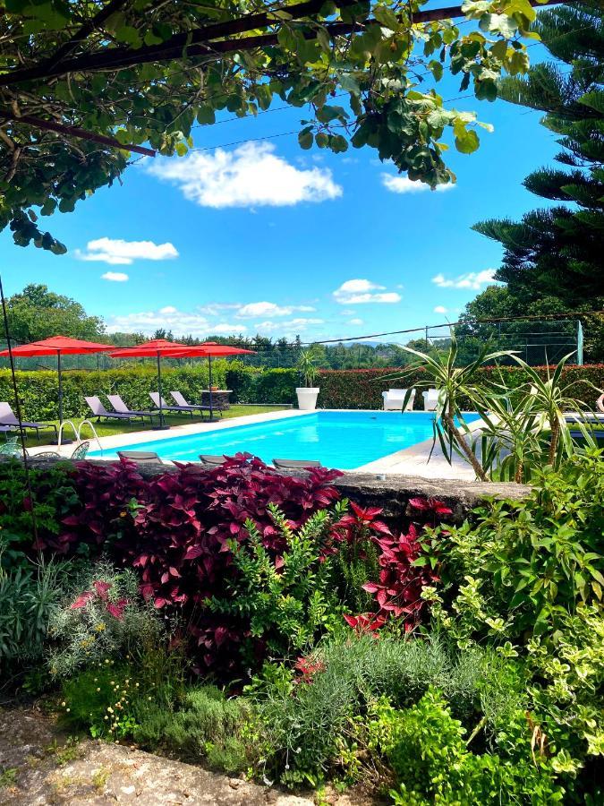 Quinta Dom Sapo - Agroturismo Βιάνα ντο Καστέλο Εξωτερικό φωτογραφία